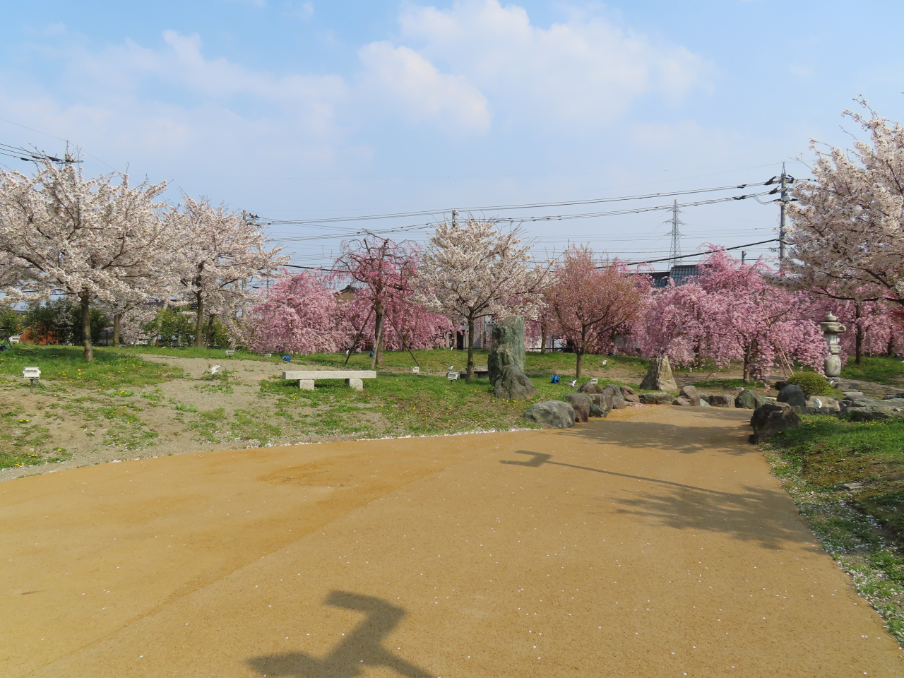 茶室櫻花 記念公園 | 株式会社 高岡市衛生公社